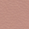 Menta
