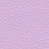 Lavanda