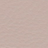 Lino