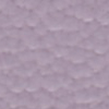 Glicine