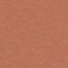 Nocciola