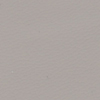 Silicio